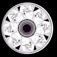 skull disc  Design